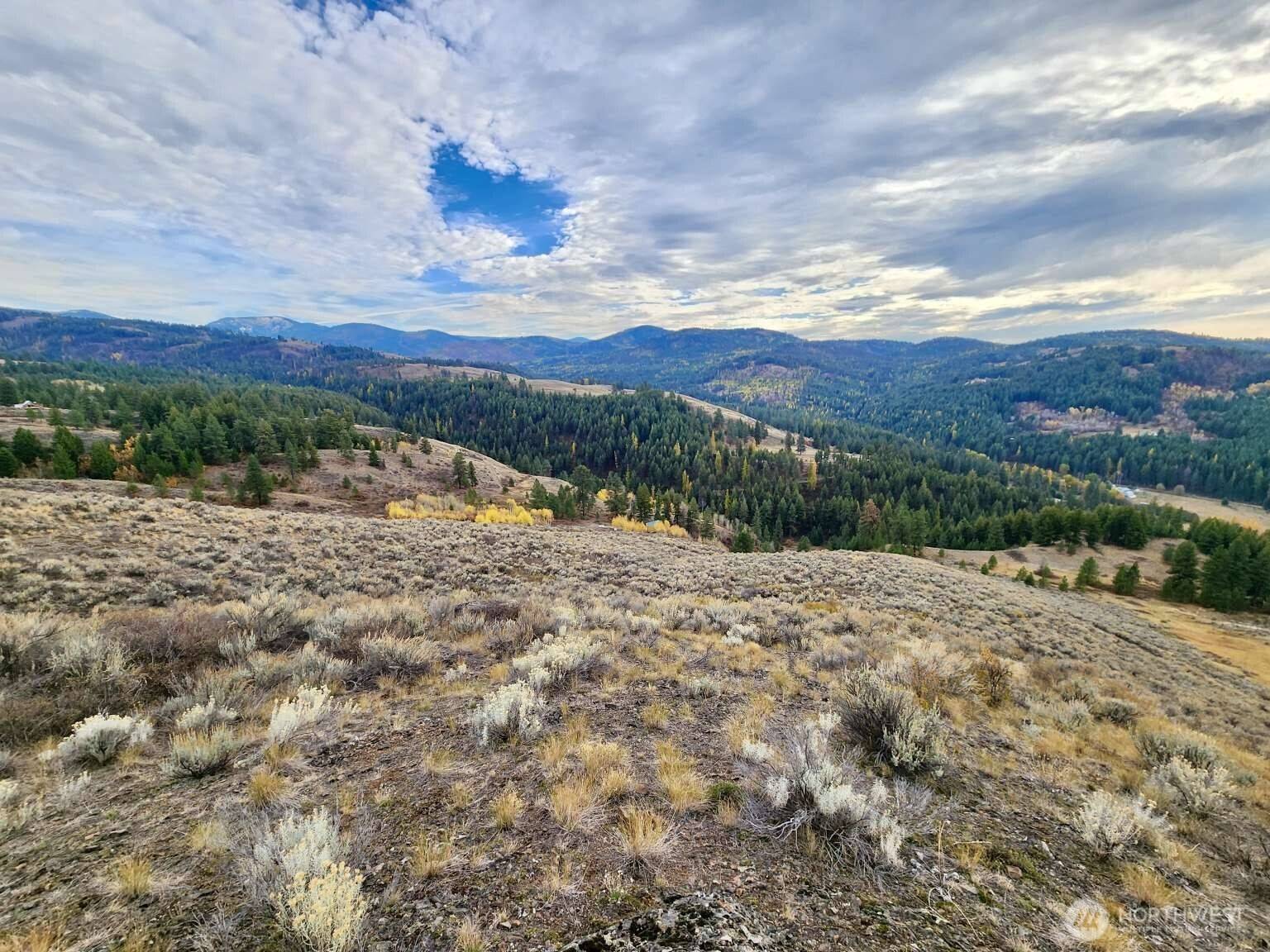 Republic, WA 99166,48 Oleander RD