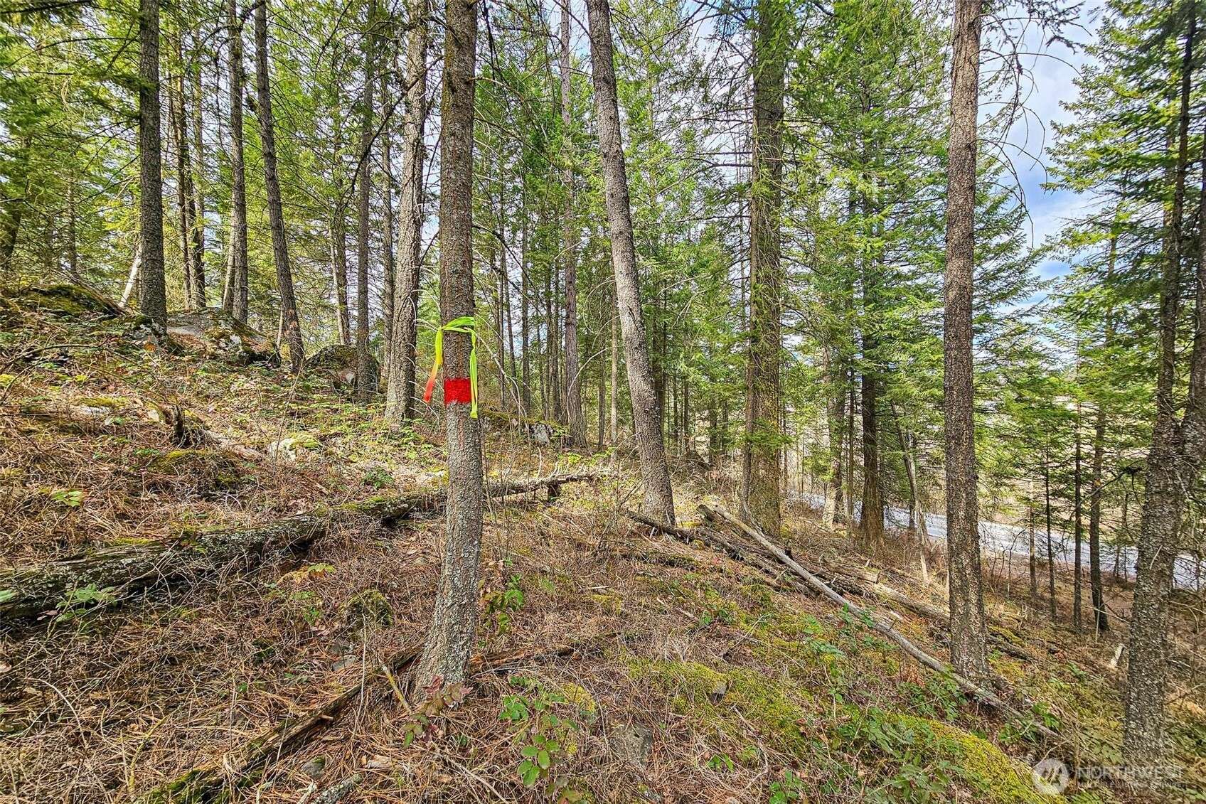 Chattaroy, WA 99003,4700 E Deer Park Milan RD