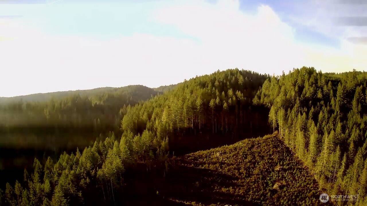 Shelton, WA 98584,0 N US Highway 101