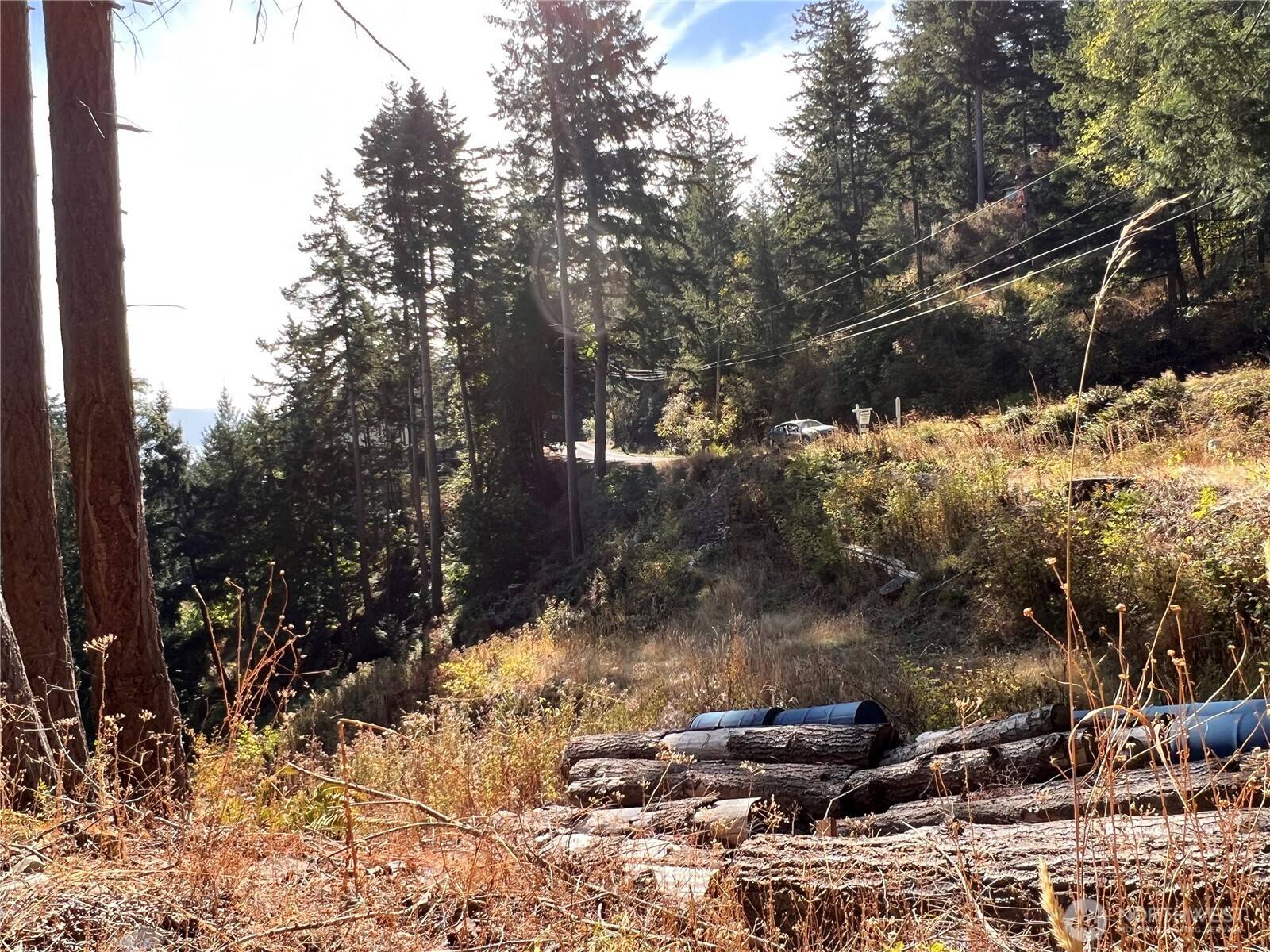 Lummi Island, WA 98262,3010 Hales Passage DR