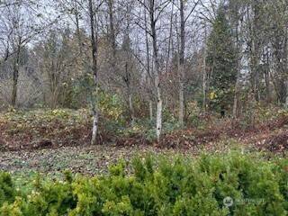 Woodinville, WA 98077,0 208th PL NE