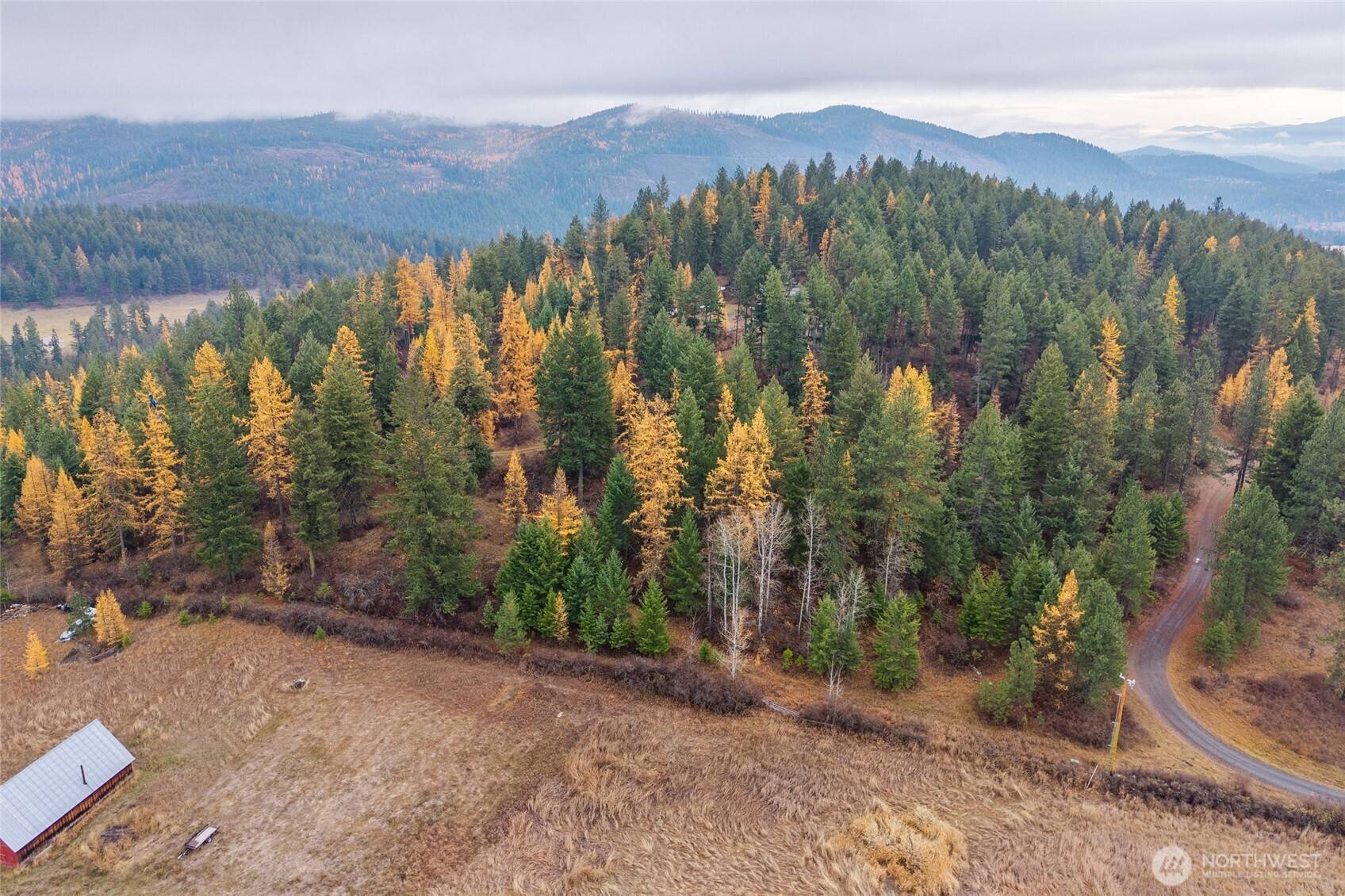 Colville, WA 99114,700 L Dry Gulch RD