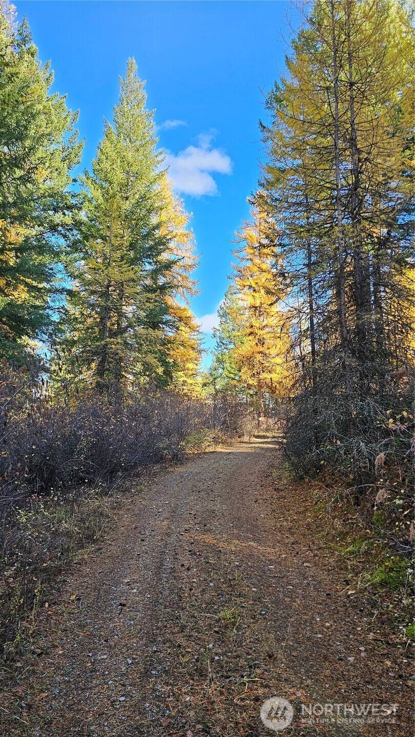 Colville, WA 99114,700 L Dry Gulch RD