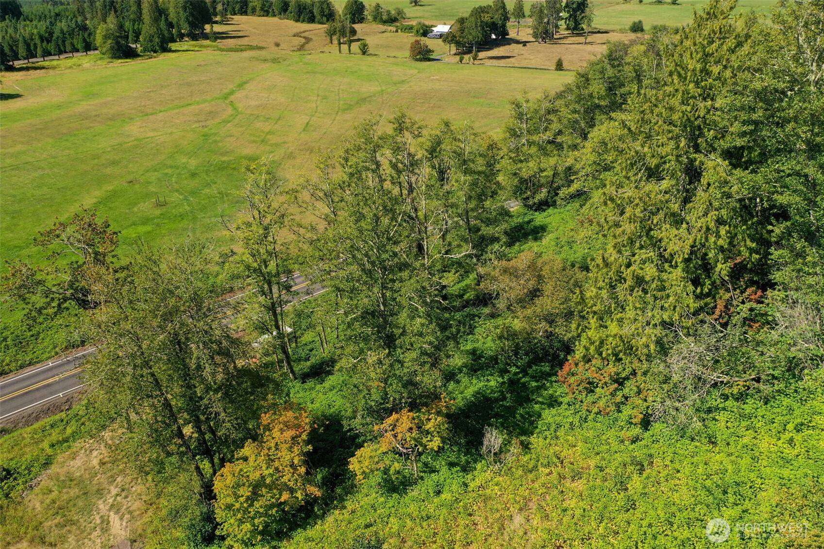 Cinebar, WA 98570,4255 State Route 508