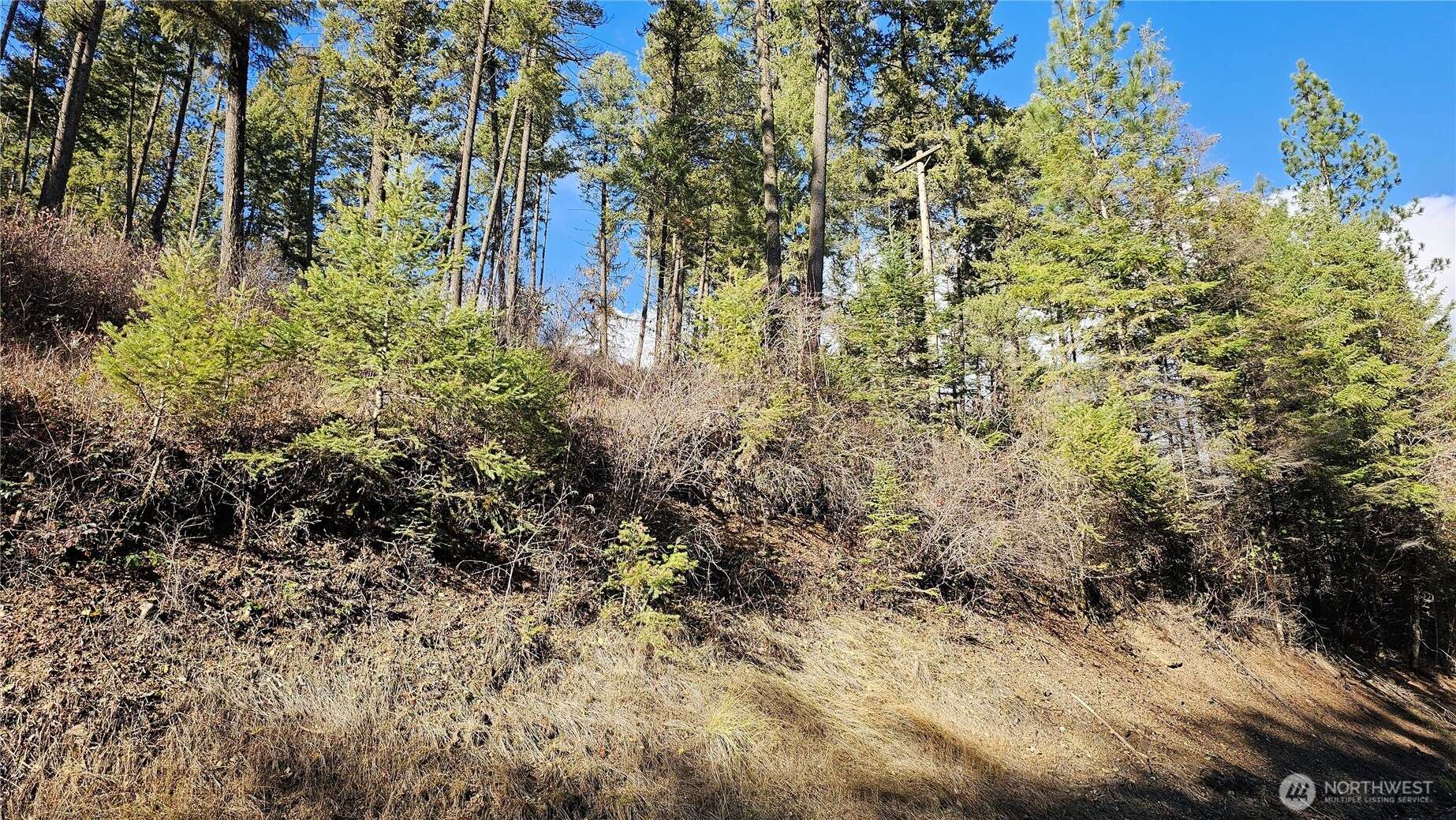 Colville, WA 99114,717 B Finley Gulch RD