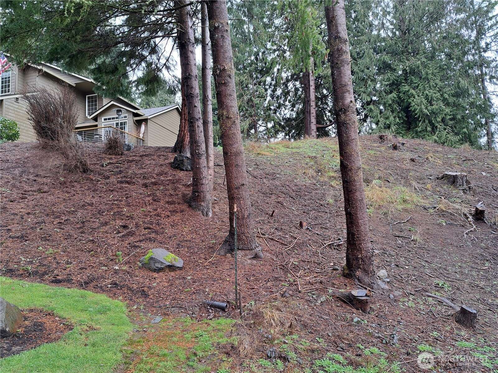 Longview, WA 98632,210 W Saint James PL