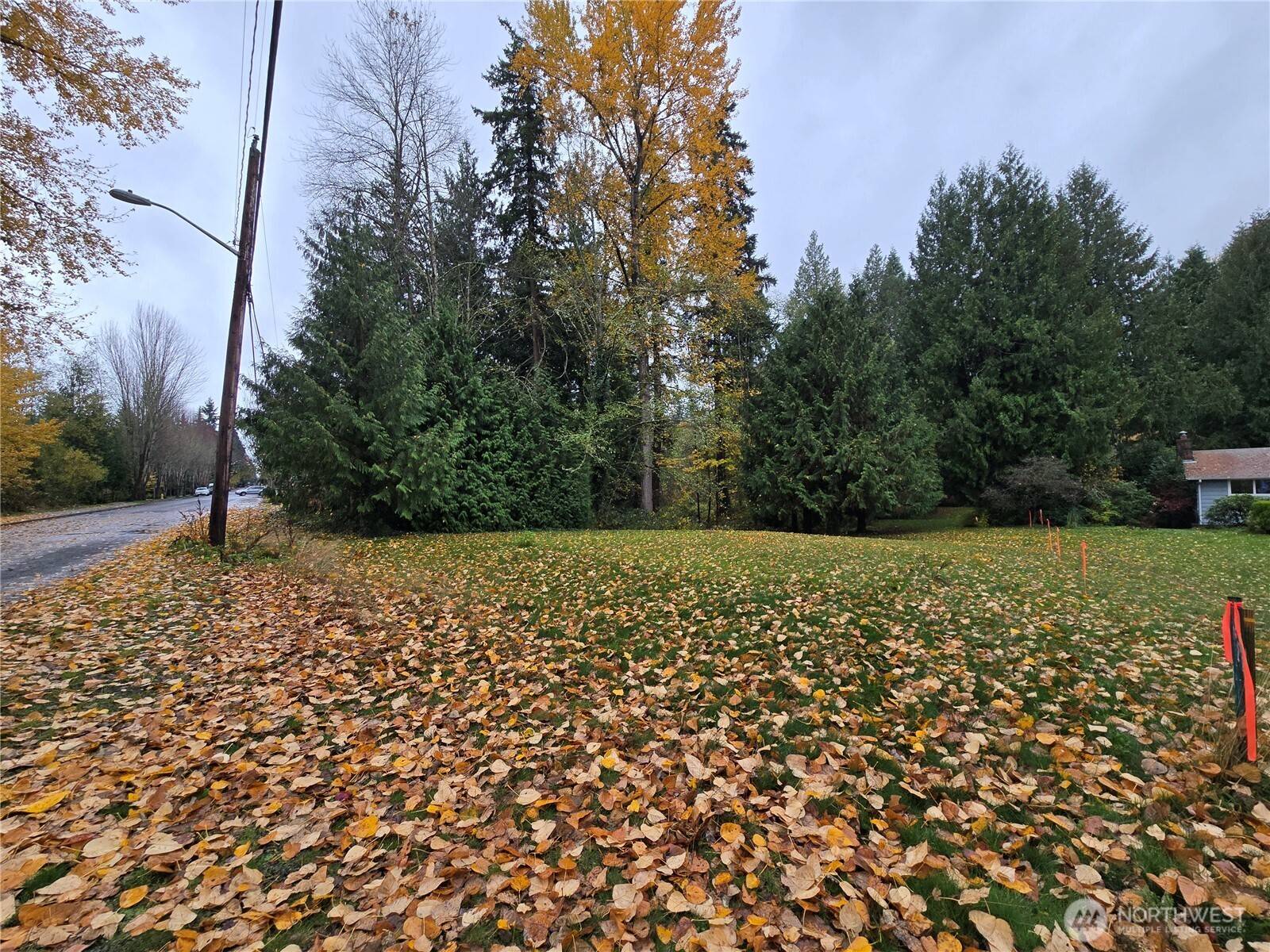 Kirkland, WA 98033,10415 Slater AVE NE