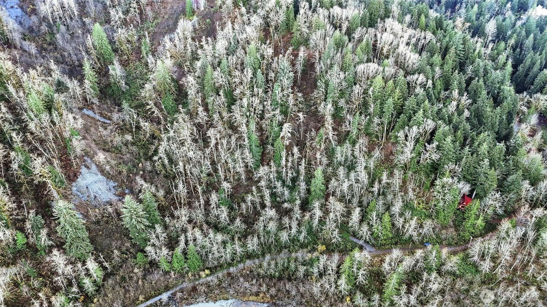 Gold Bar, WA 98251,0 00381300002900