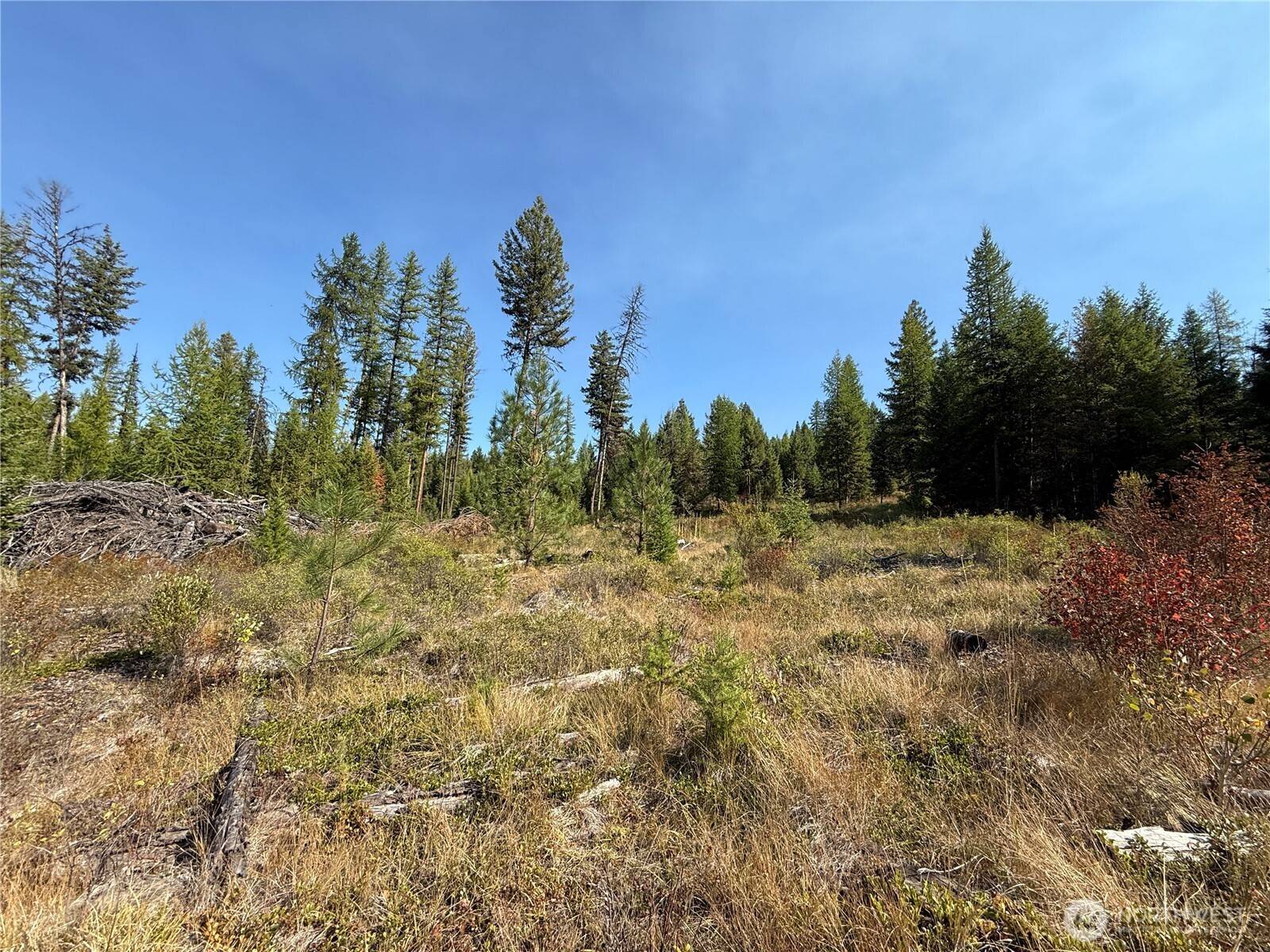 Malo, WA 99150,0 St. Peter's Creek RD