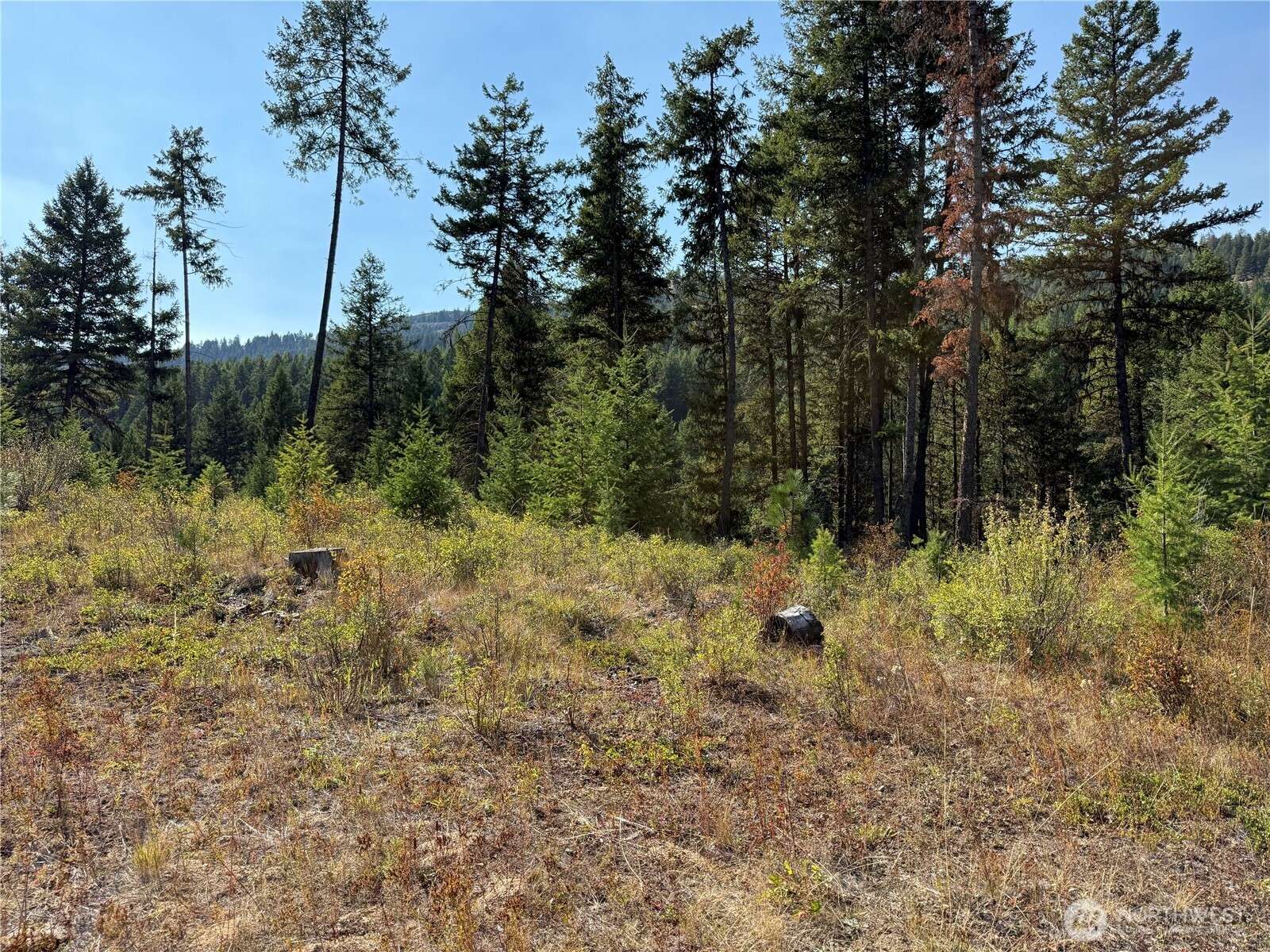 Malo, WA 99150,0 St. Peter's Creek RD