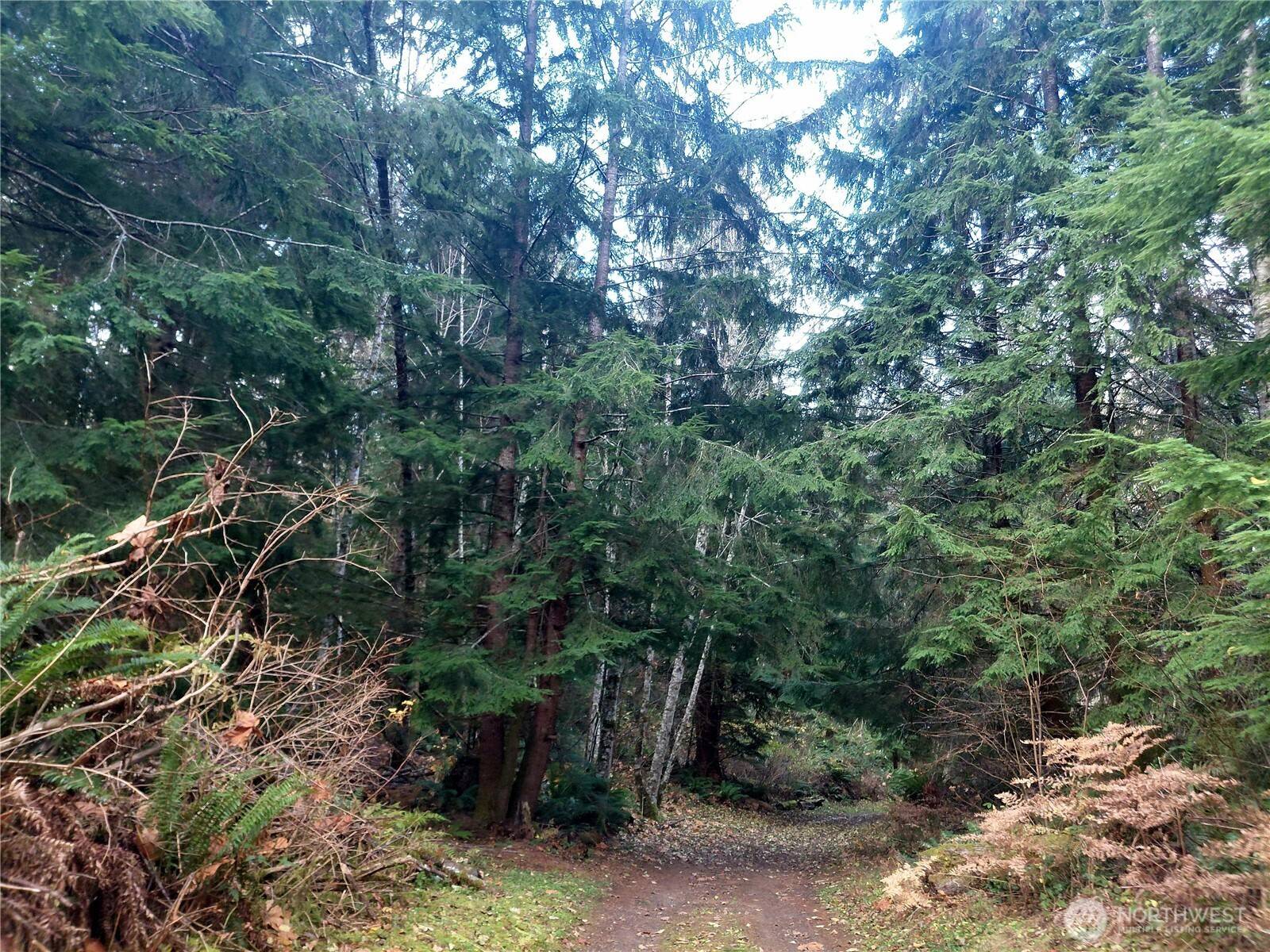 Randle, WA 98377,0 Lot 9 Old Barn RD