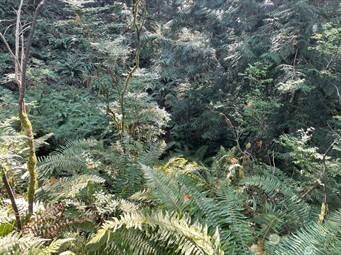 Port Orchard, WA 98366,0 Melcher ST