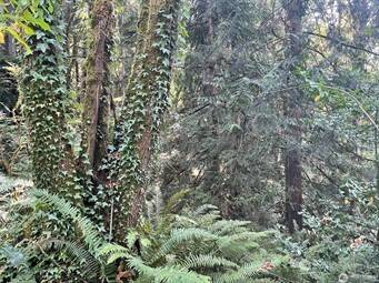 Port Orchard, WA 98366,0 Melcher ST