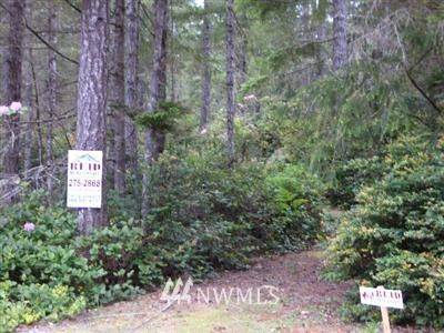 Tahuya, WA 98588,21 NE Pine Tree LN