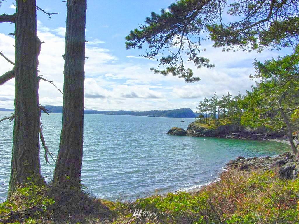 Orcas Island, WA 98280,0 XXX Rebe RD