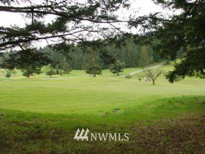 Orcas Island, WA 98245,1 Fairway LN