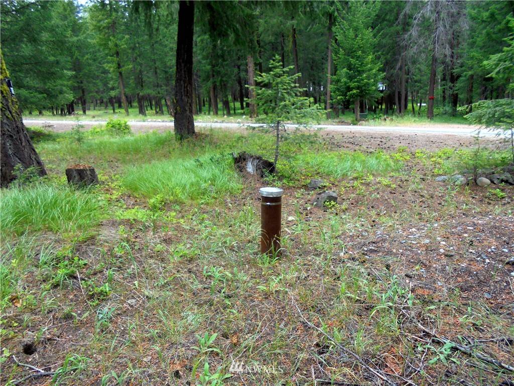 Mazama, WA 98833,0 Lot 27 Cedarosa - Lost River RD