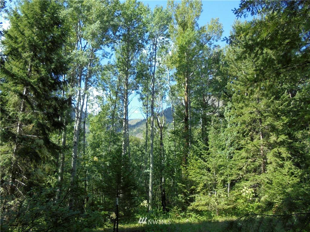 Mazama, WA 98833,0 Lot 27 Cedarosa - Lost River RD