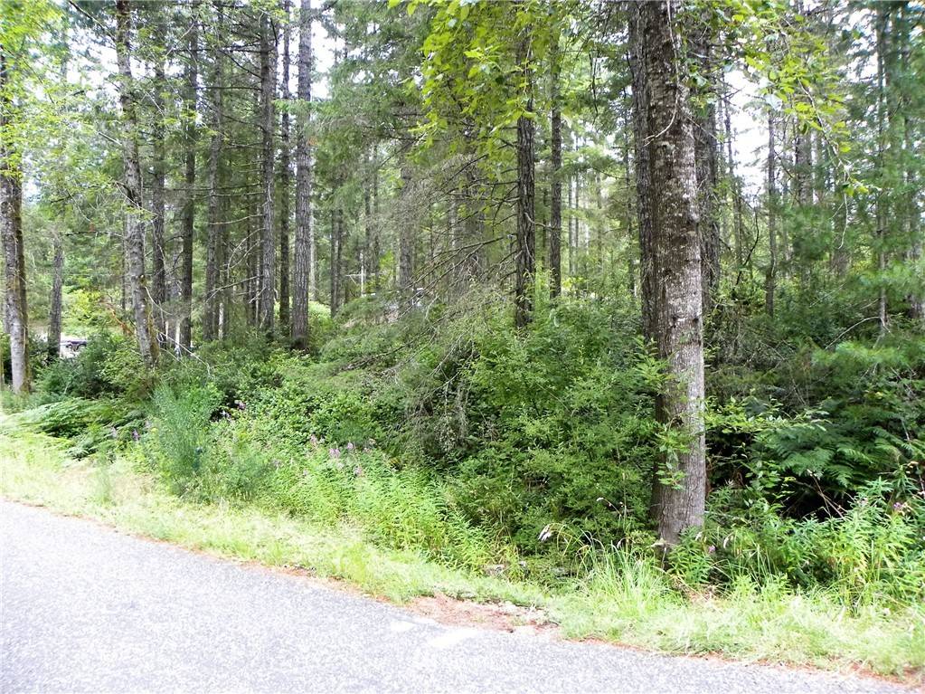 Tahuya, WA 98588,48 Lot NE Collins Lake DR