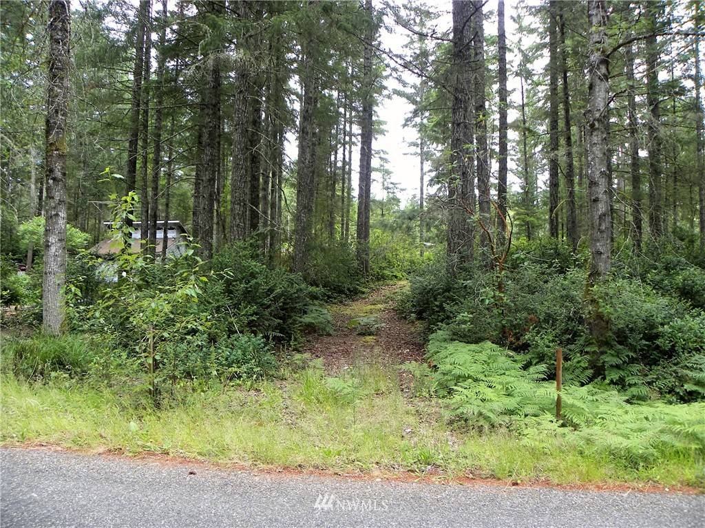 Tahuya, WA 98588,48 Lot NE Collins Lake DR