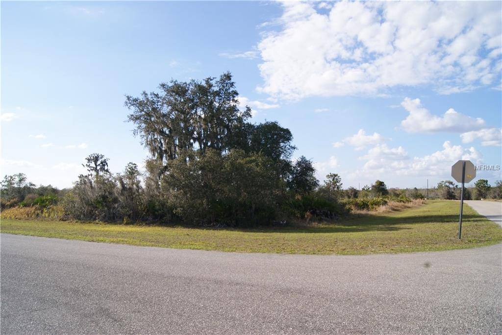 Myakka City, FL 34251,0000 11 AVE E