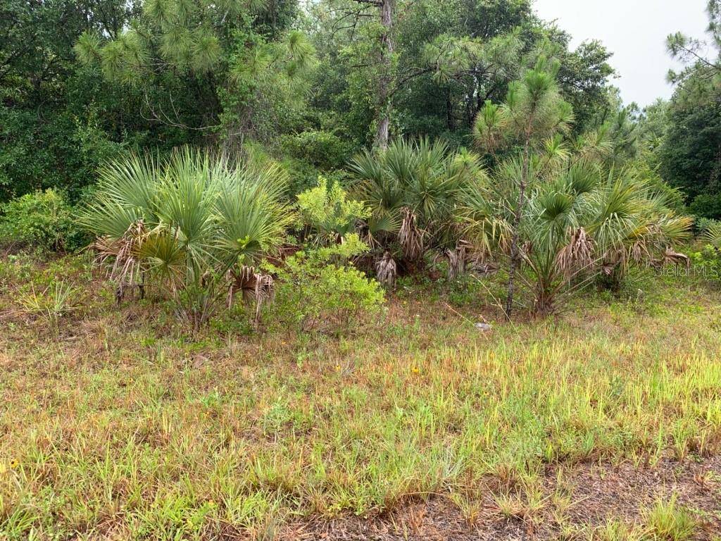 North Port, FL 34288,IRONSIDE ST #Lot 14