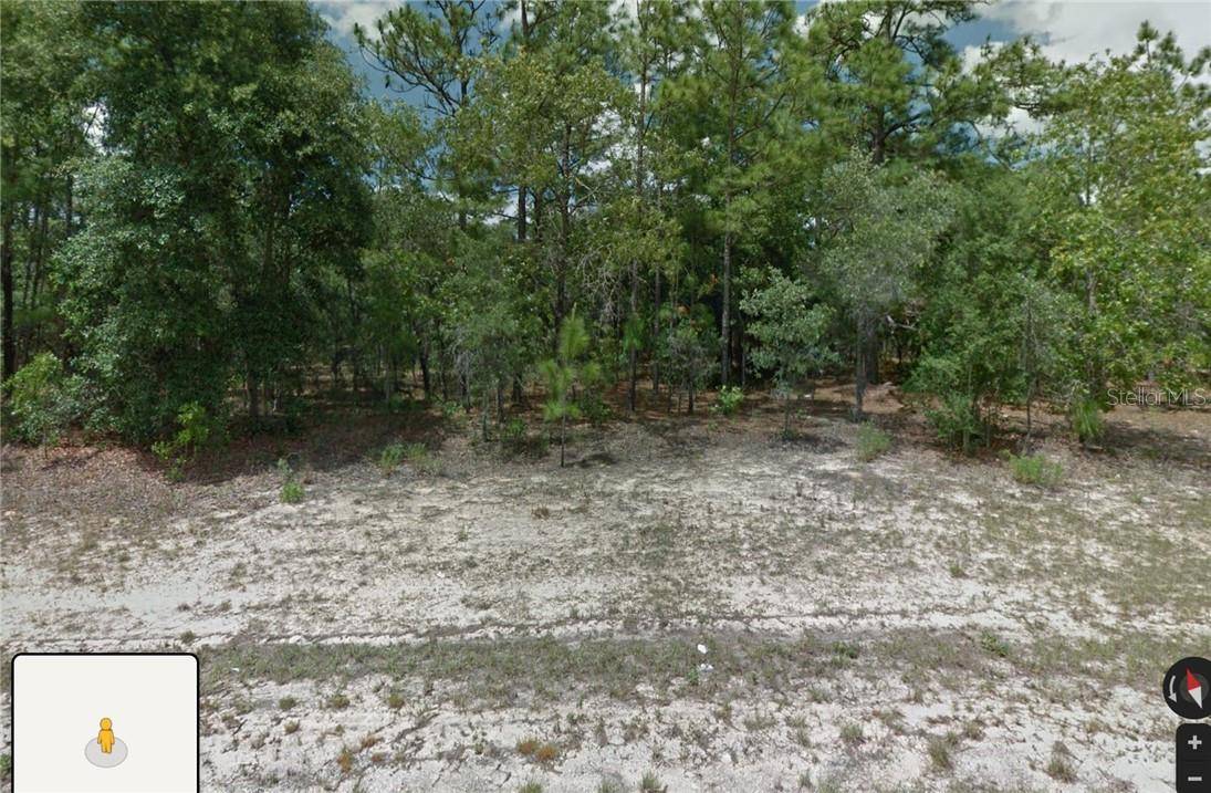 Citrus Springs, FL 34434,1581 W THUMPER DR