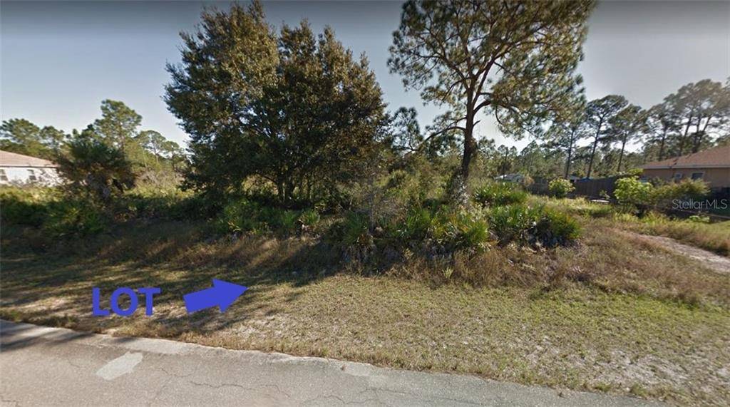 Lehigh Acres, FL 33972,1318 DESOTO AVE