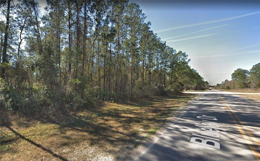 Middleburg, FL 32068,1963 FRIENDLY PL