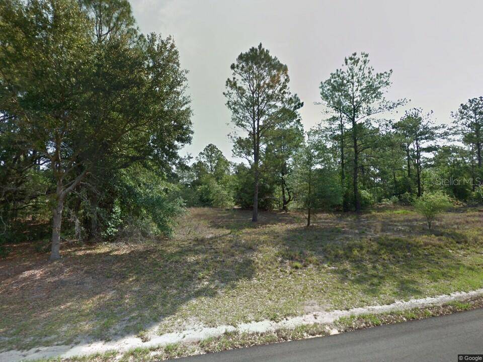 Citrus Springs, FL 34433,11889 MONICA DR