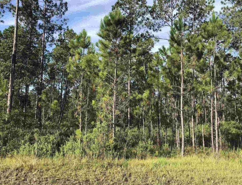 Callahan, FL 32011,34249 STEEPLE CHASE WAY