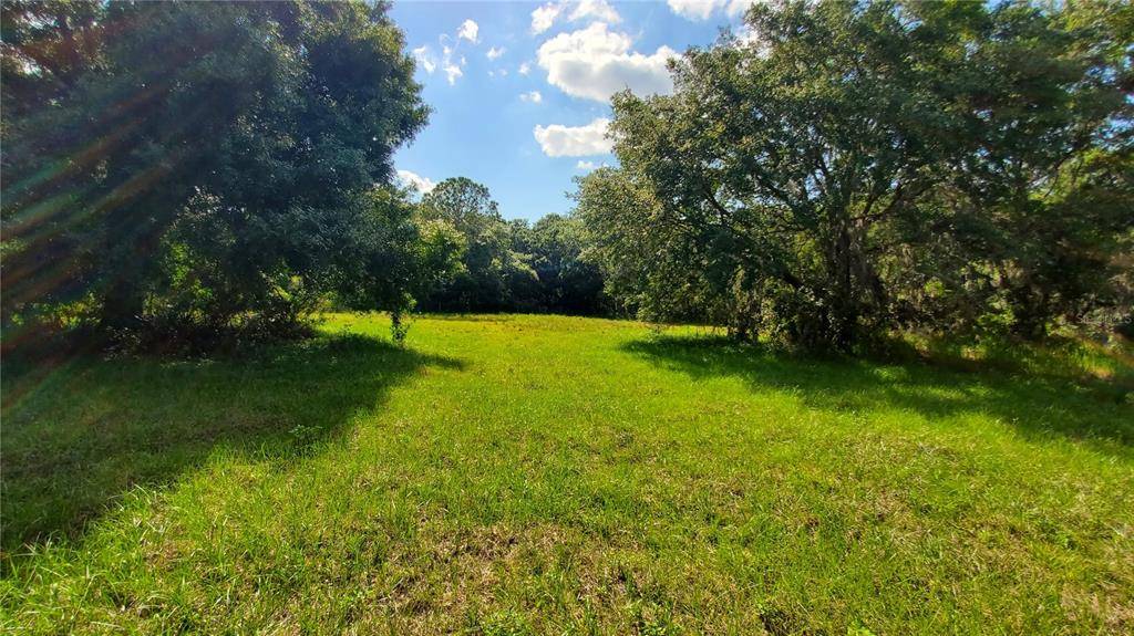 Wimauma, FL 33598,1003 SILVER SPURS CIR