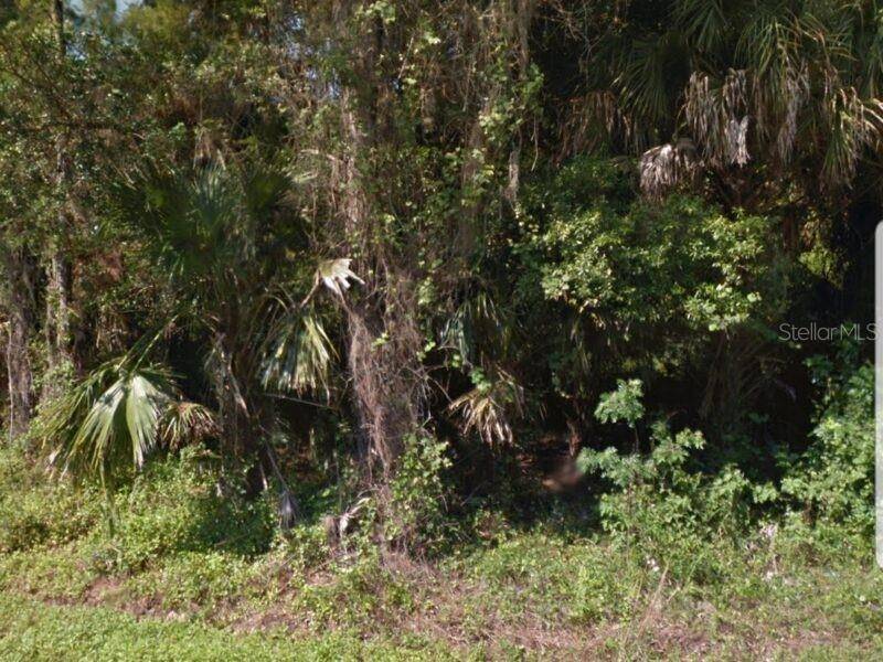 North Port, FL 34286,00 VAQUERO ST