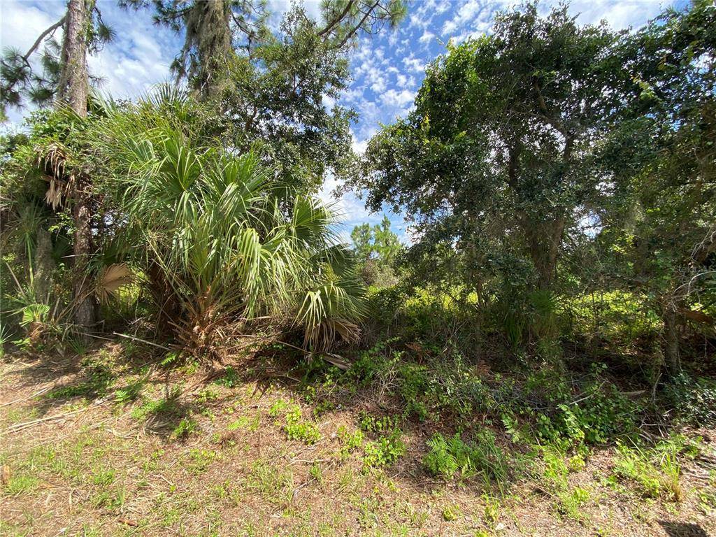 North Port, FL 34288,LOT 12 JODY AVE