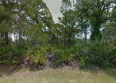 Port Charlotte, FL 33981,5384 KASPER ST