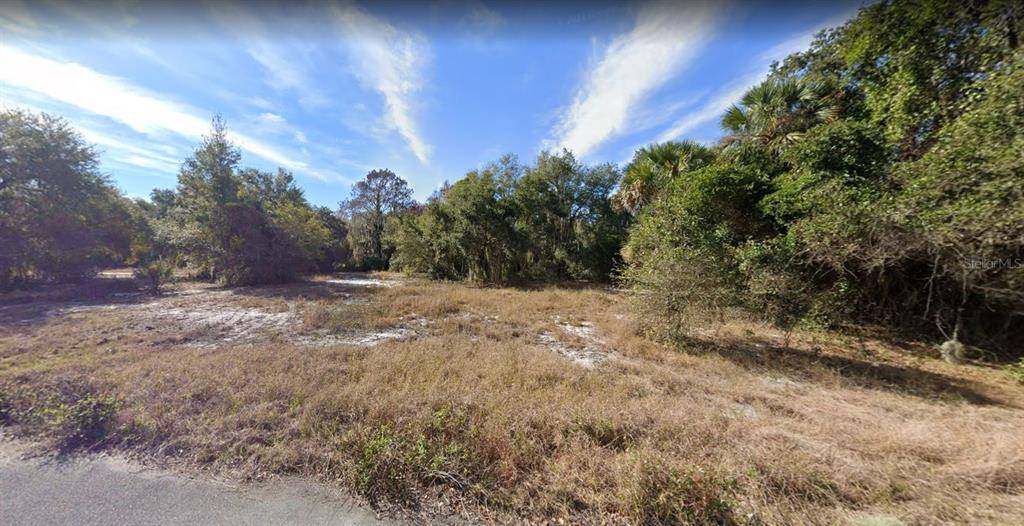 Leesburg, FL 34748,000 TREASURE ISLAND RD