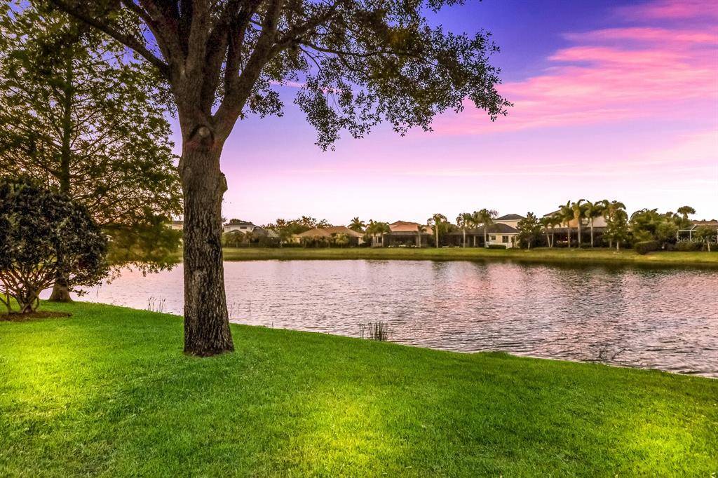 Lakewood Ranch, FL 34202,14409 SILVER TROUT DR