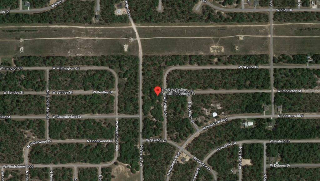 Citrus Springs, FL 34434,1965 W SKYLINE DR