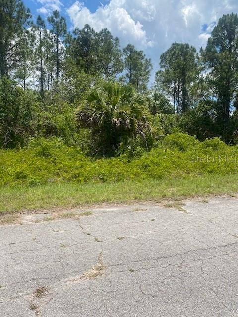 North Port, FL 34288,lot 35 DEVONSHIRE CIR