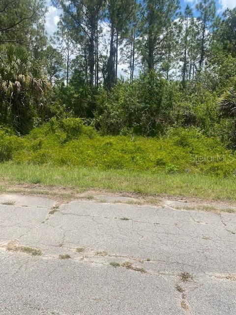 North Port, FL 34288,lot 35 DEVONSHIRE CIR