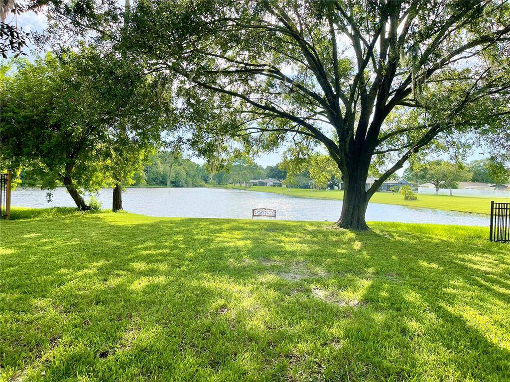 Oldsmar, FL 34677,452 LAKEVIEW DR