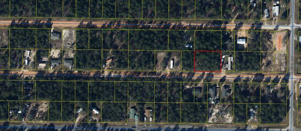 Defuniak Springs, FL 32433,PASSION FLOWER ST