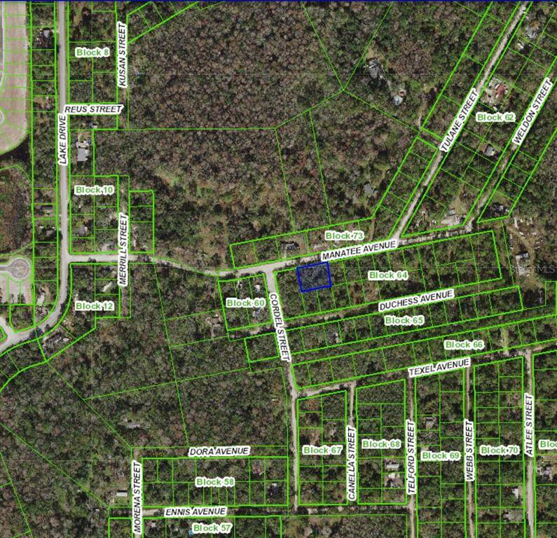 New Port Richey, FL 34654,MANATEE AVE