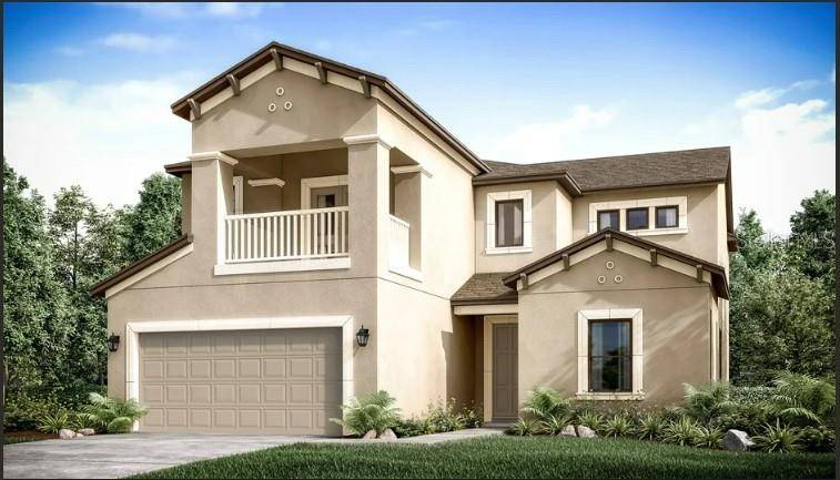 Wesley Chapel, FL 33543,2356 CARIBE CT