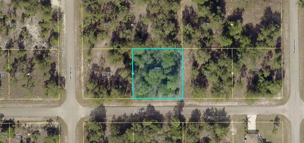 Lehigh Acres, FL 33972,3203 E 11TH ST