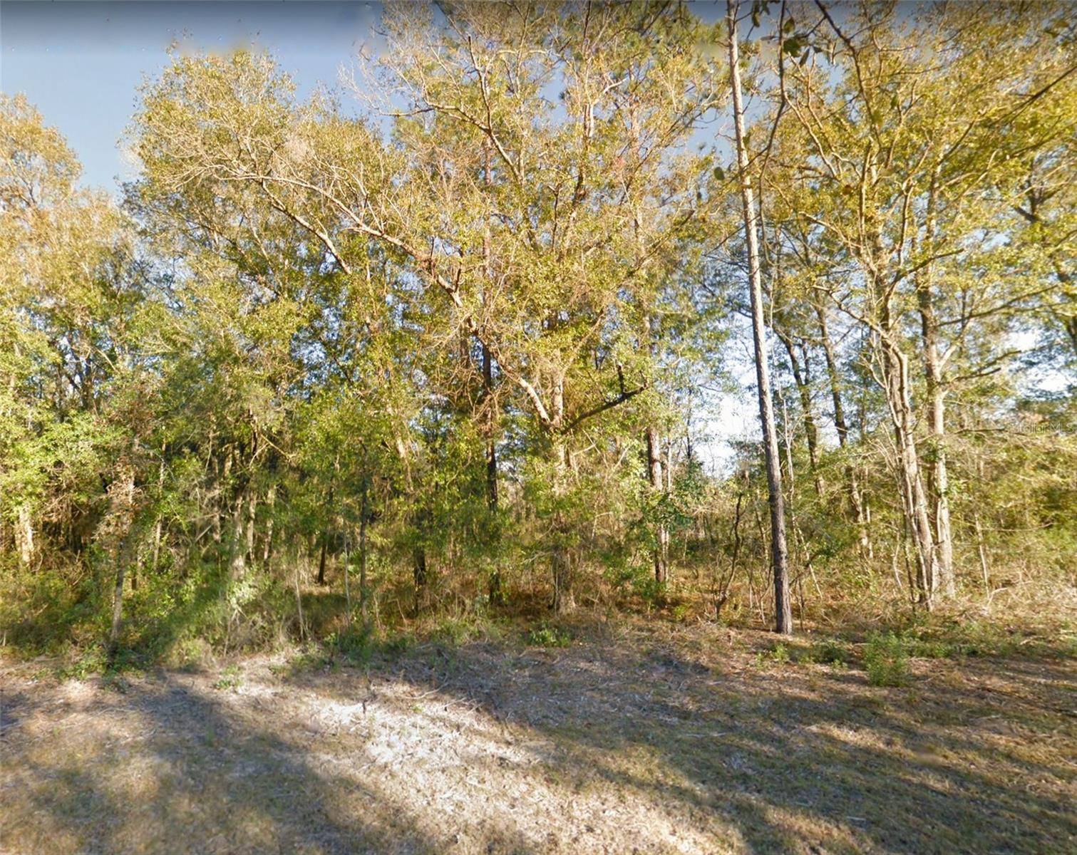 Bronson, FL 32621,00 NE 83 LN