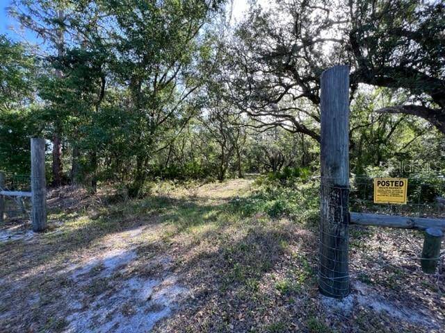 Myakka City, FL 34251,COUNTY RD 675