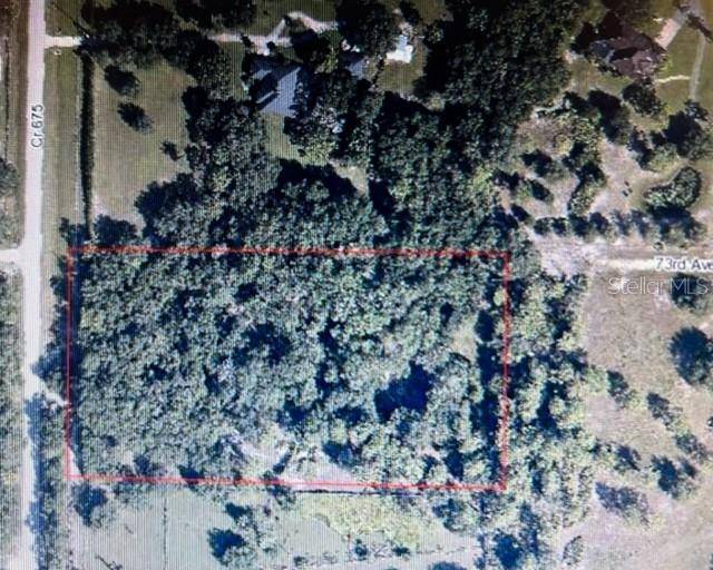 Myakka City, FL 34251,COUNTY RD 675