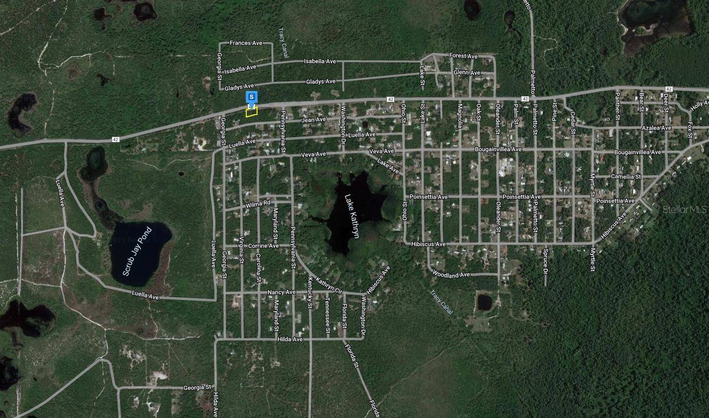 Paisley, FL 32767,27656 COUNTY ROAD 42