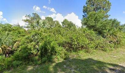 Lehigh Acres, FL 33974,431 PARKMAN AVE